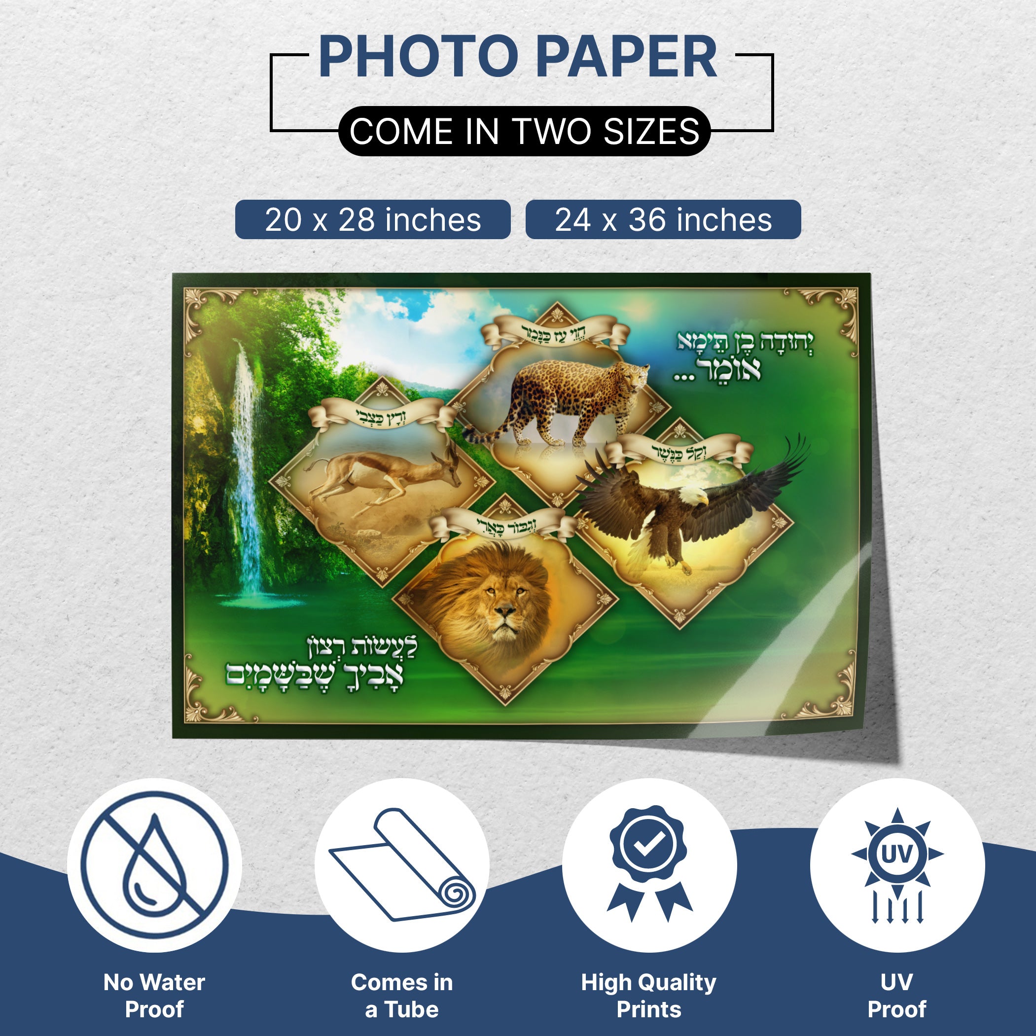 The Journey of Torah poster, featuring Rabbi Yehuda Ben Tema's Mishna for Sukkot, showcases animals and text, enriching Sukkah decor with vibrant Jewish art.