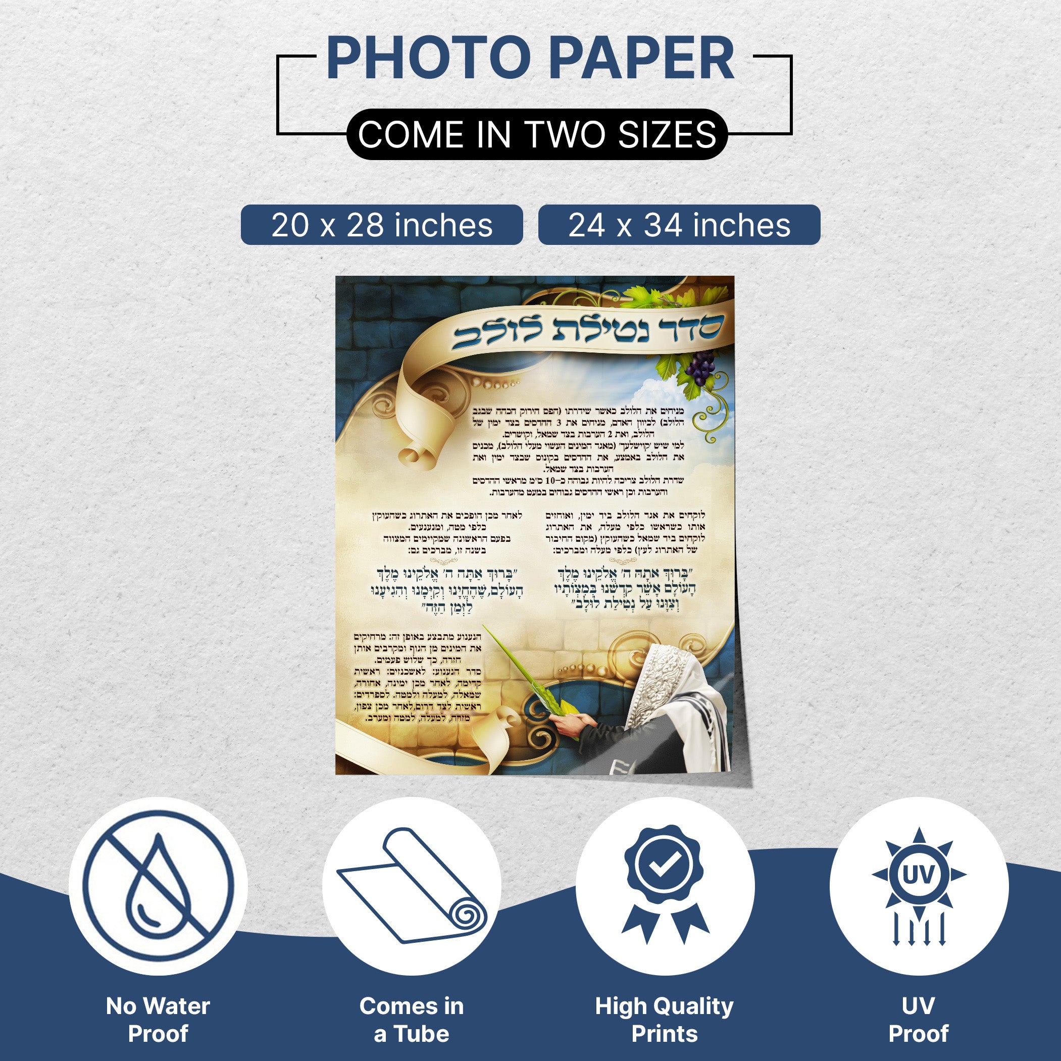 Seder Netilat Lulav Prayer Poster - Sukkot Ritual Elegance, featuring detailed prayer instructions and Sukkot-themed designs, ideal for educational and decorative use in your Sukkah.