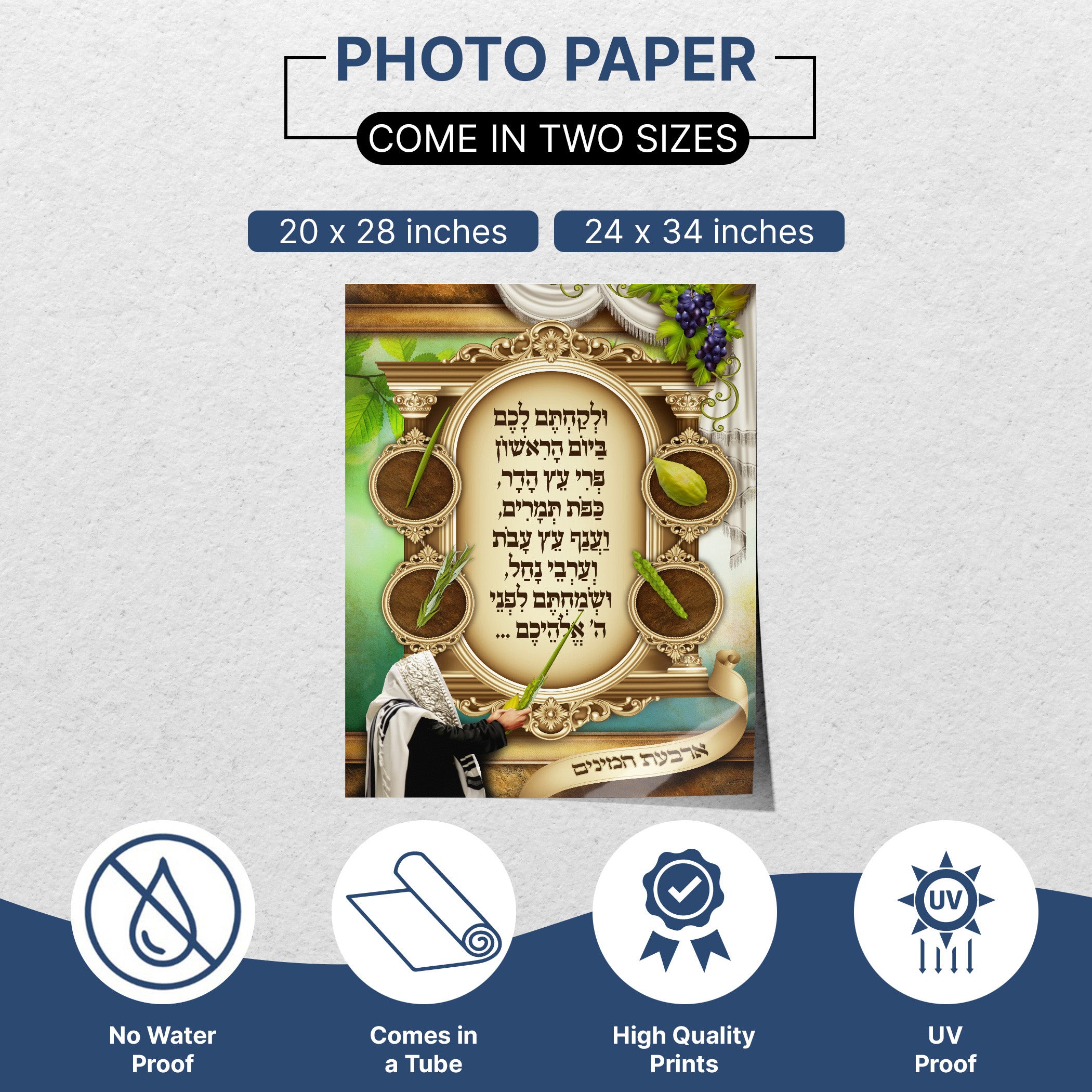 Four Species Harmony - Third Edition Sukkot Poster showcasing artistic depictions of etrog, lulav, hadas, and aravah, ideal for enhancing sukkah decor.
