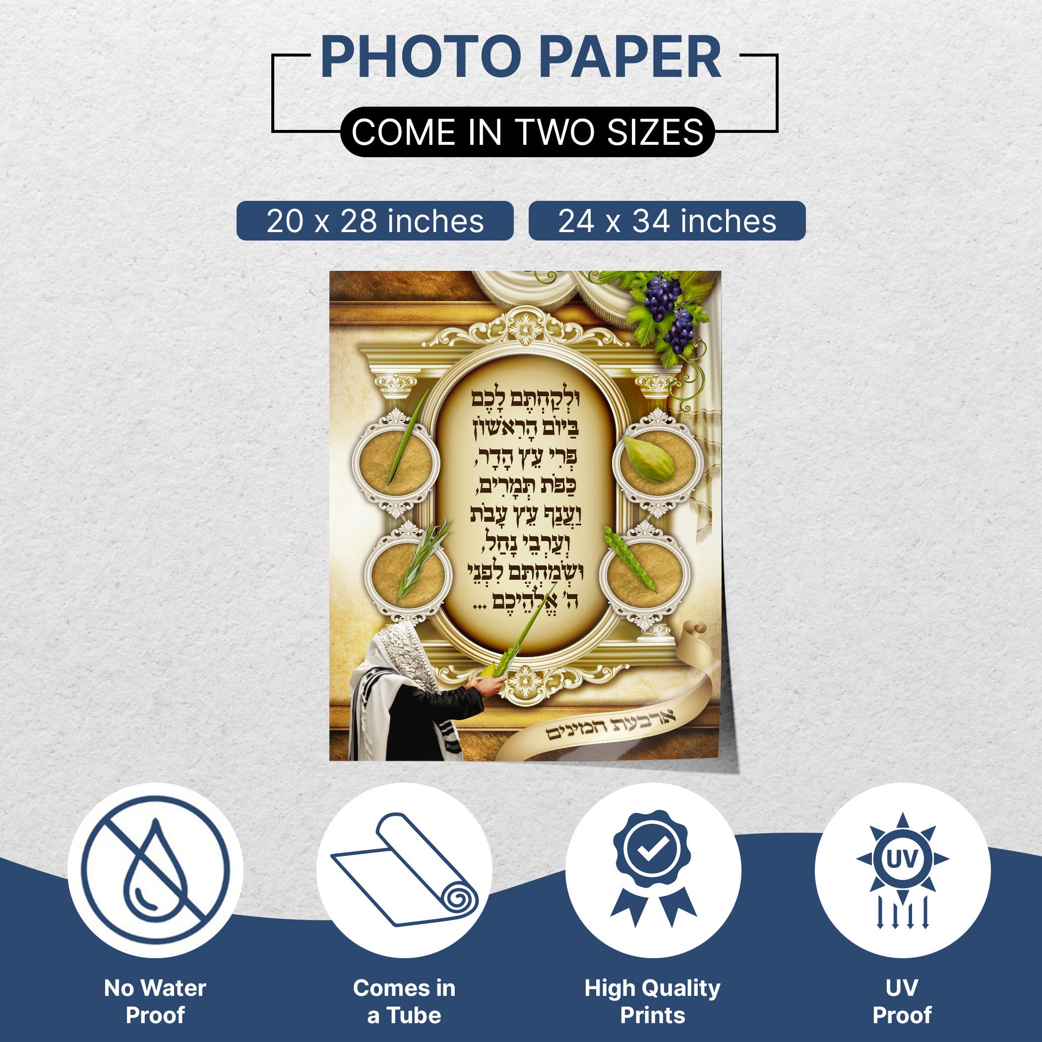 Four Species Elegance - Second Edition Sukkot Poster: Artistic depiction of etrog, lulav, hadas, and aravah, enhancing Sukkah decor with traditional and contemporary flair.