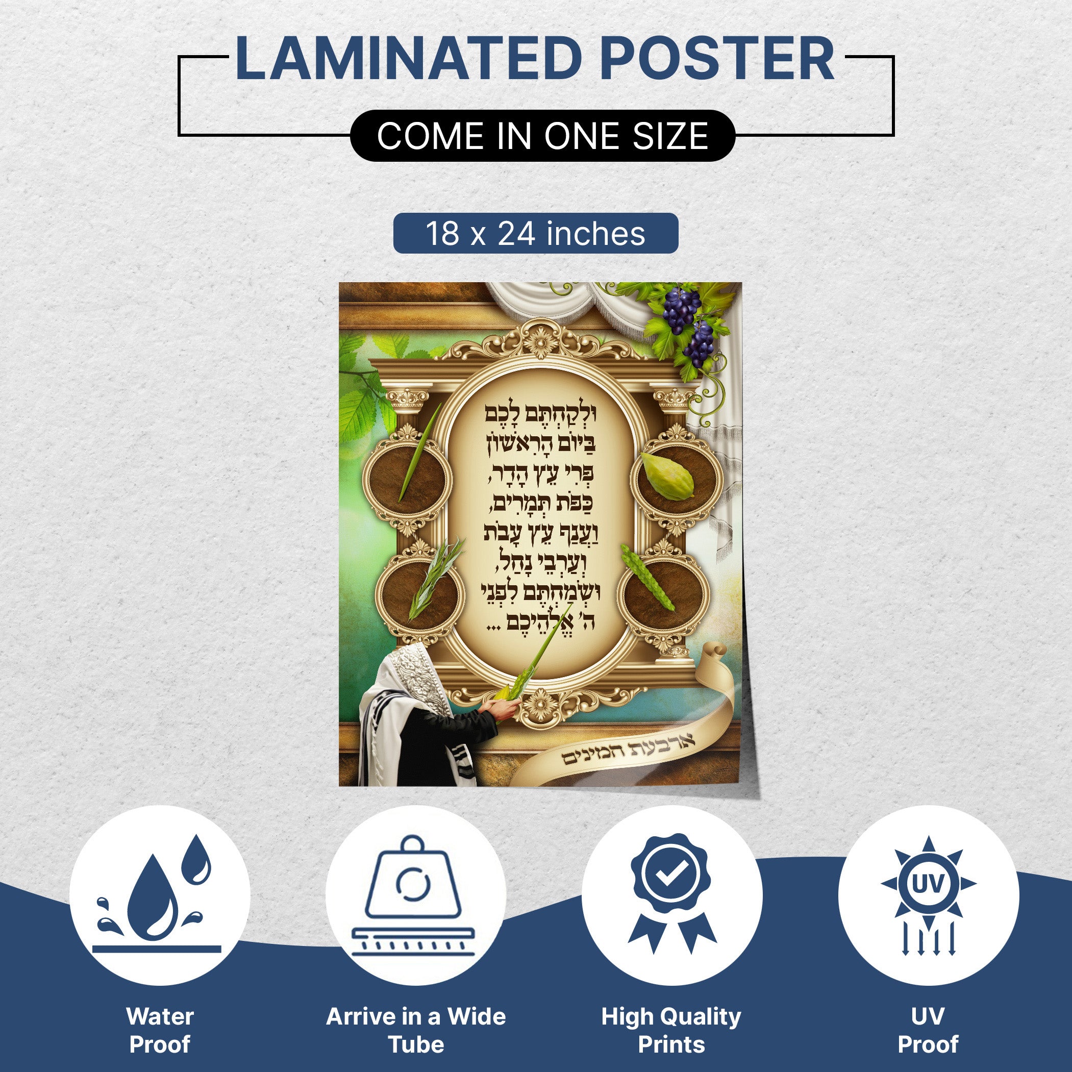 Four Species Harmony - Third Edition Sukkot Poster, featuring symbolic illustrations of etrog, lulav, hadas, and aravah, ideal for enhancing your sukkah decor.