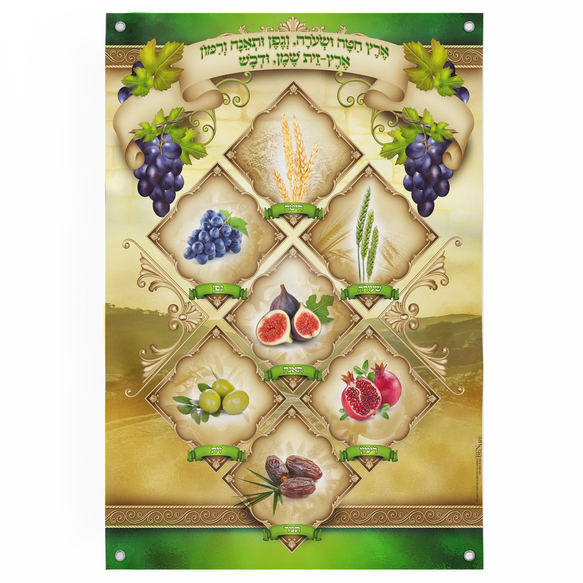 The Seven Species - Traditional Sukkot Harvest Poster featuring artistic depictions of wheat, barley, grapes, figs, pomegranates, olives, and dates for sukkah decoration.