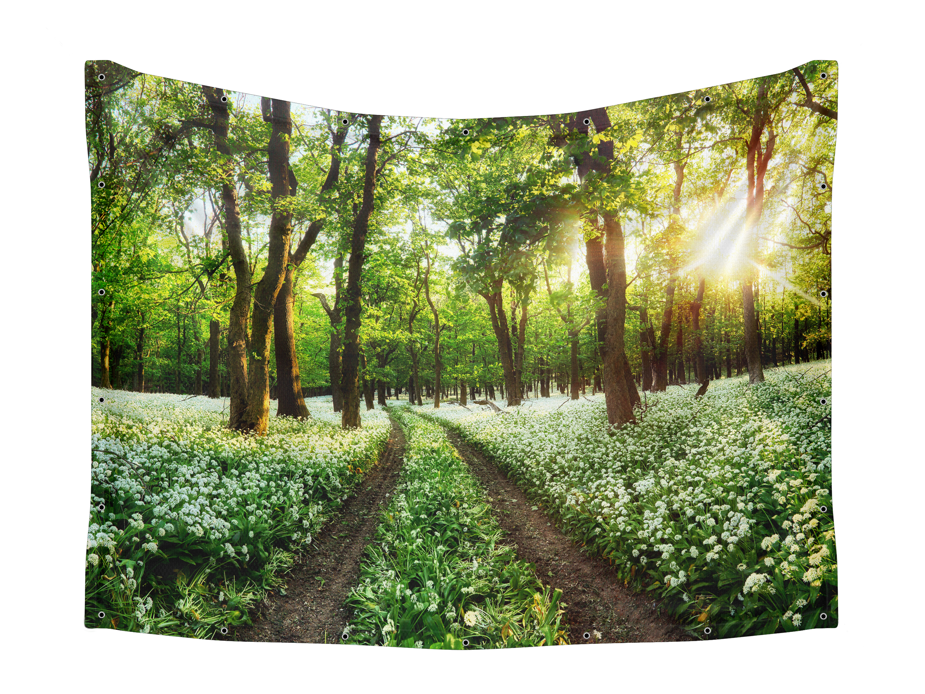 Sunlit Green Forest Sukkah Fabric featuring tranquil trees and sunlight, designed to be UV and waterproof, ideal for creating a serene Sukkot atmosphere.